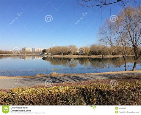 朝陽公園有什麼玩的？朝陽公園的寧靜角落是否也藏著故事的碎片？