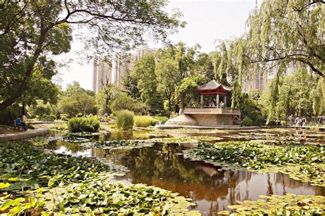 西安哪些公園最好玩，公園中的飛鳥是否能與詩人對話？